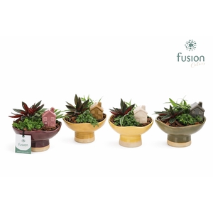 Keramiek schaal Medium met Groenen planten