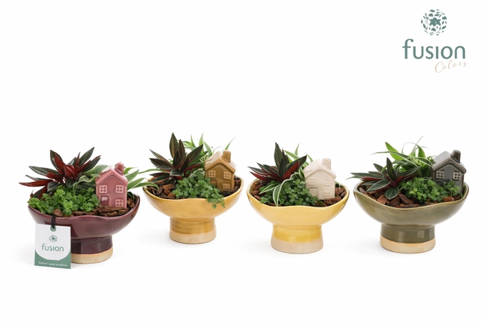 <h4>Keramiek schaal Medium met Groenen planten</h4>