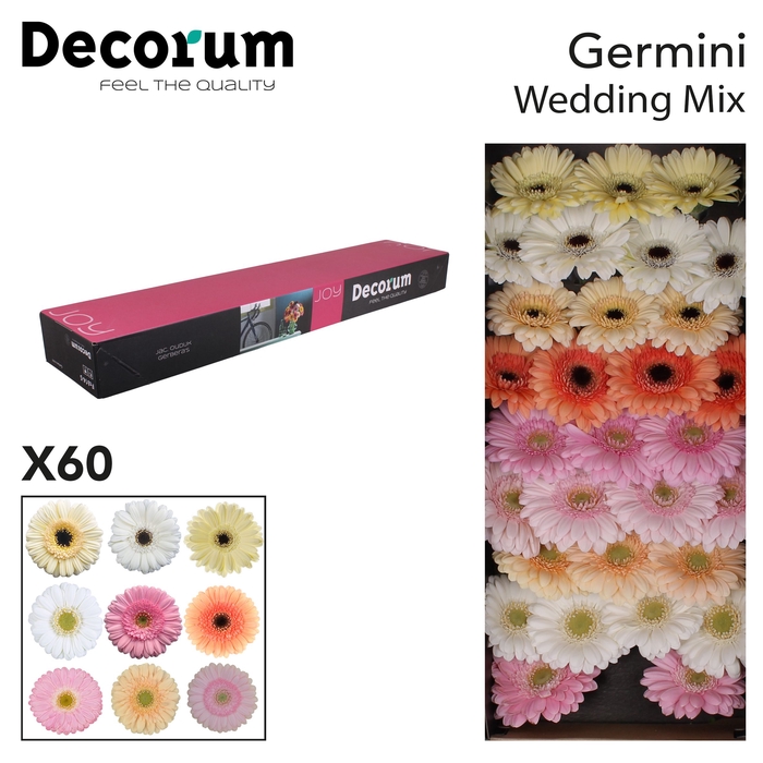 <h4>Germini Mix Wedding Doos</h4>