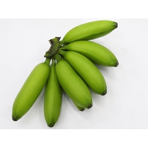Musa Sapientum Green