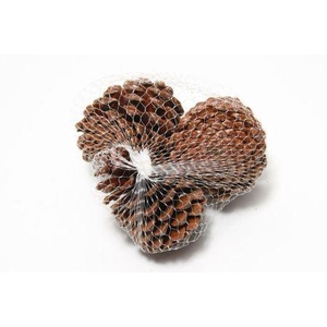 Pinecone Maritima L10/12 3 Pcs
