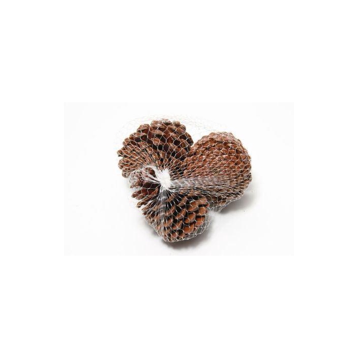 <h4>Pinecone Maritima L10/12 3 Pcs</h4>