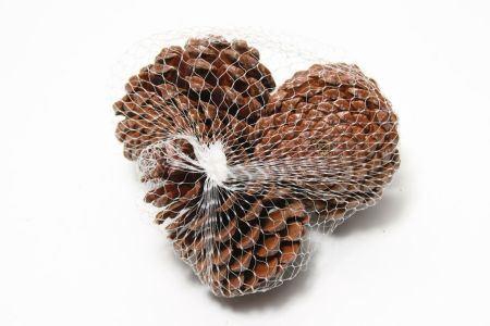Pinecone Maritima L10/12 3 Pcs