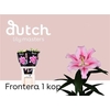Li Ot Frontera 1-kop X4