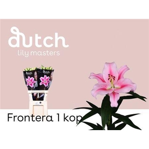 Li Ot Frontera 1-kop