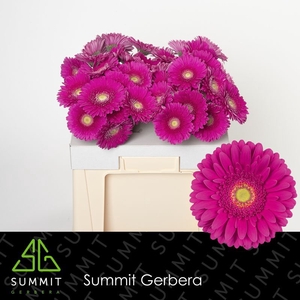 GE GR FLAMENCO Water
