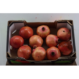 Sier Granaatappel Red Orange X10 P Box