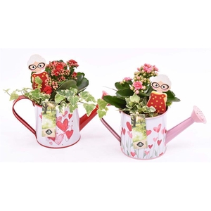 Zink gieter roze/rood hart 24x10cm