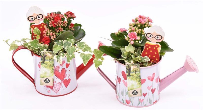 <h4>Zink gieter roze/rood hart 24x10cm</h4>