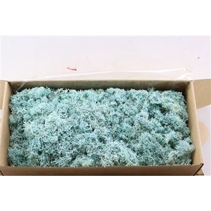 Moss Reindeer Moss 500gr Aqua Marine