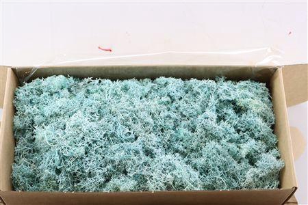 <h4>Moss Reindeer Moss 500gr Aqua Marine</h4>