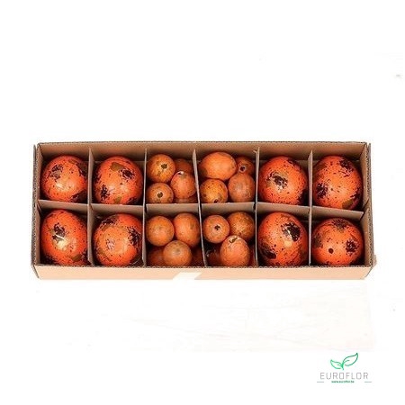 EGG ORANGE 32PCS (8 HEN + 24 QUAIL)