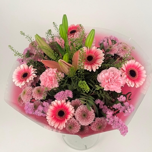 Bq Volume Voltage Pink L