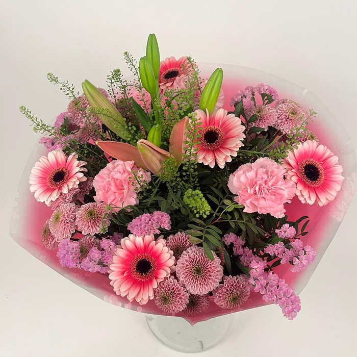 <h4>Bq Volume Voltage Pink L</h4>