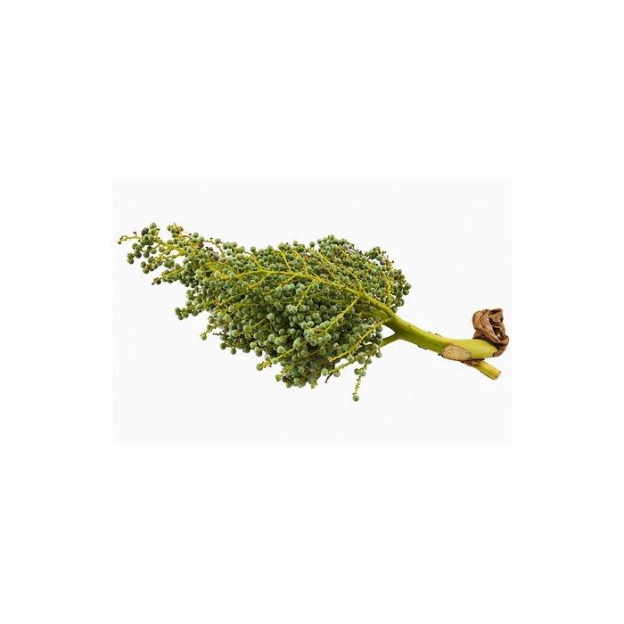 <h4>Dadels Phx Per Kilo</h4>