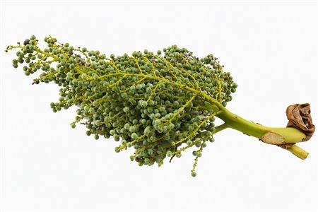 <h4>DADELS PHX PER KILO</h4>