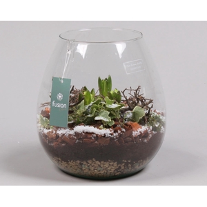 Green Bottle Abby Large Kerst met Hyacint Arrangement