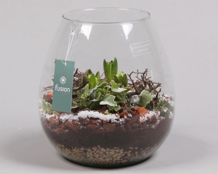 <h4>Green Bottle Abby Large Kerst met Hyacint Arrangement</h4>