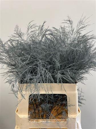 <h4>Treefern Grey</h4>