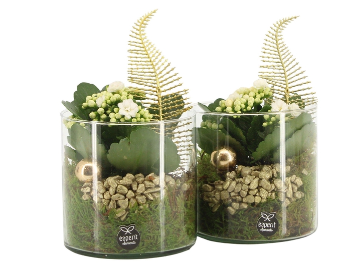 <h4>61916: X-mas arrangement</h4>