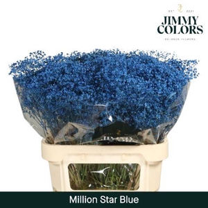 Gyps Million Star L80 Blue