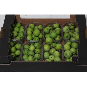 Appel Malus X8 Green