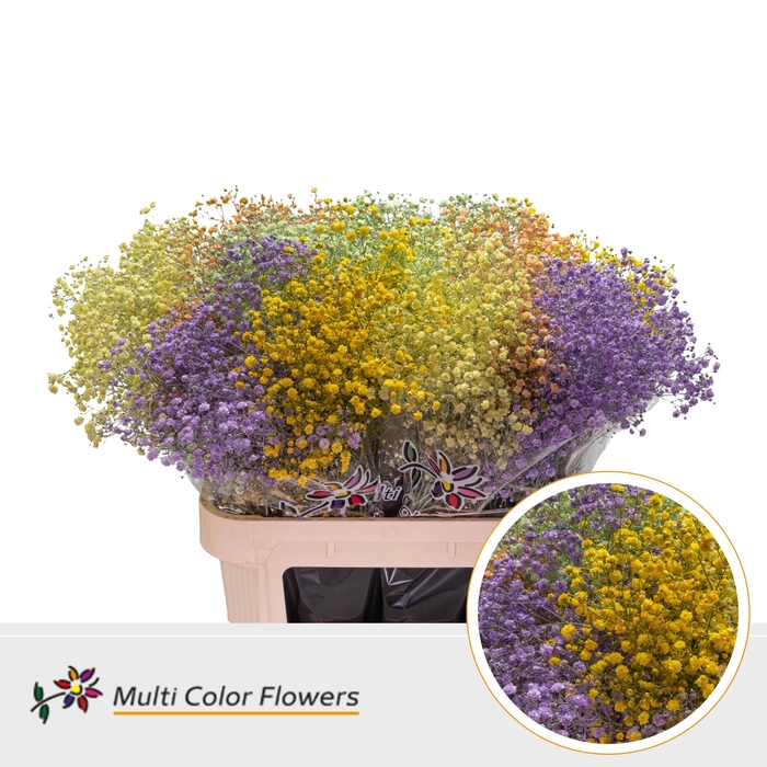 <h4>Gyps Grof Easter Mix</h4>