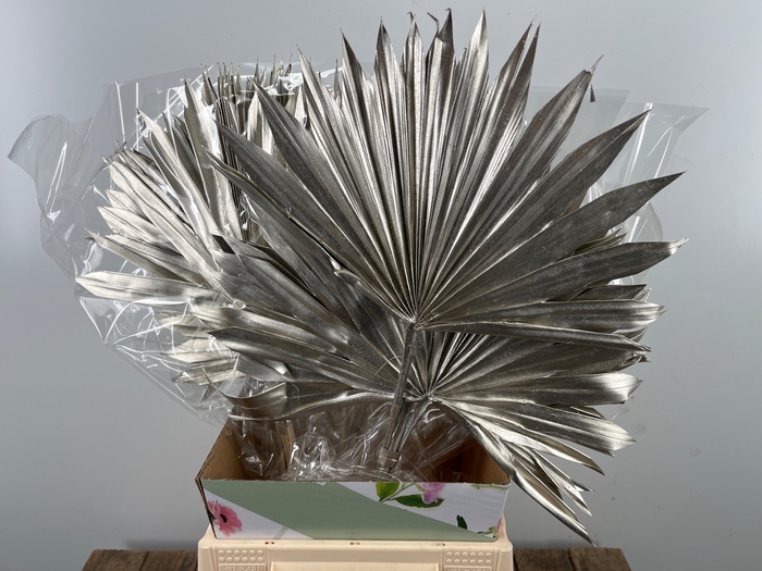 <h4>DROOGBL BEWERKT H%</h4>