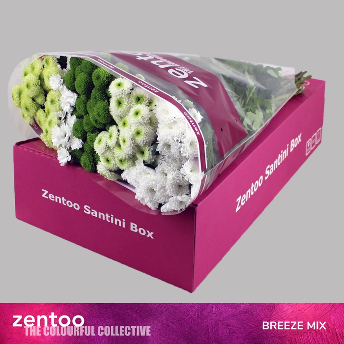 <h4>CHR S MIX BREEZE</h4>