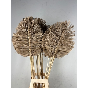 DF Boho Leaf 35cm H110cm Nat.