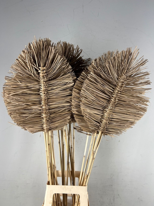 <h4>DF Boho Leaf 35cm H110cm Nat.</h4>
