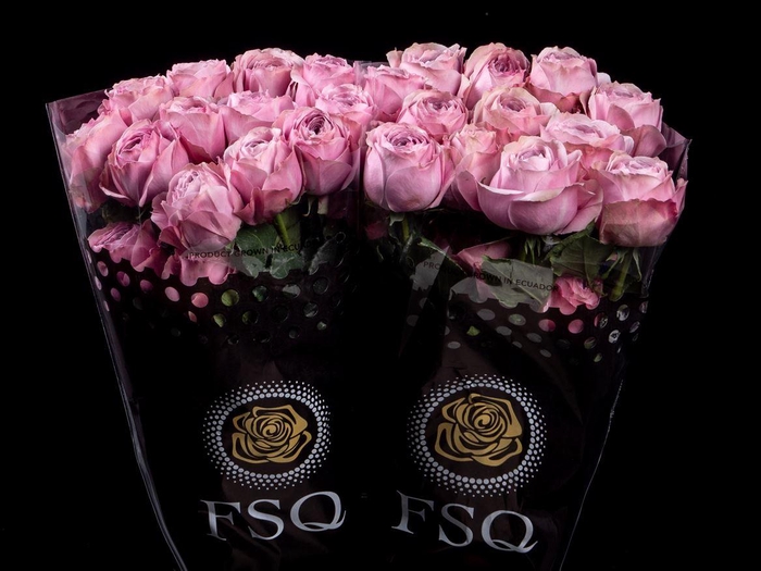 <h4>R GR Gar Peonikiss</h4>