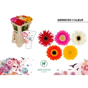 Gerb Micro gemengd