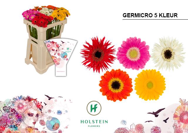 <h4>Gerb Micro gemengd</h4>