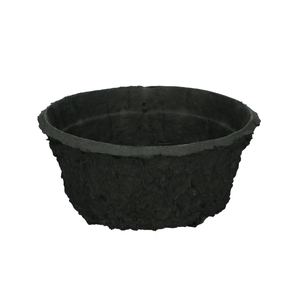 Oasis Biolit Bowl 19cm