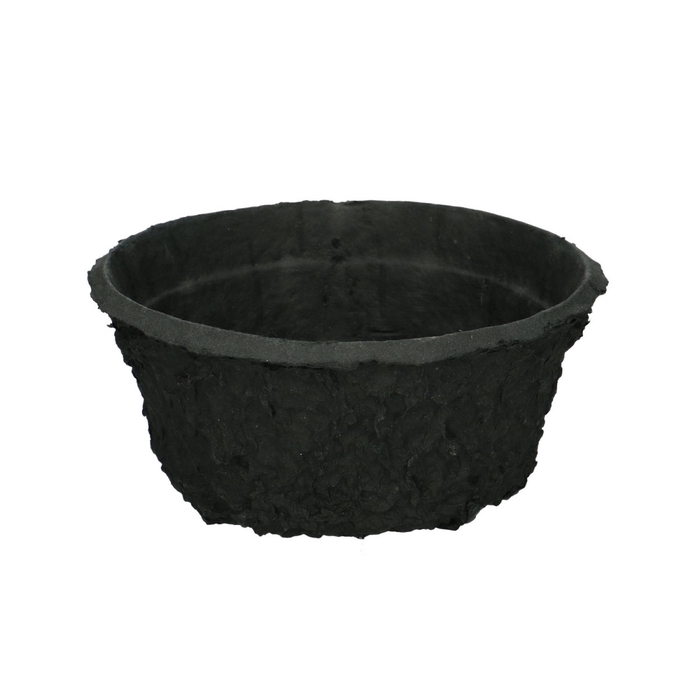 <h4>Oasis Biolit Bowl 19cm</h4>