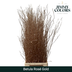 Betula L120 Mtlc.Rose gold