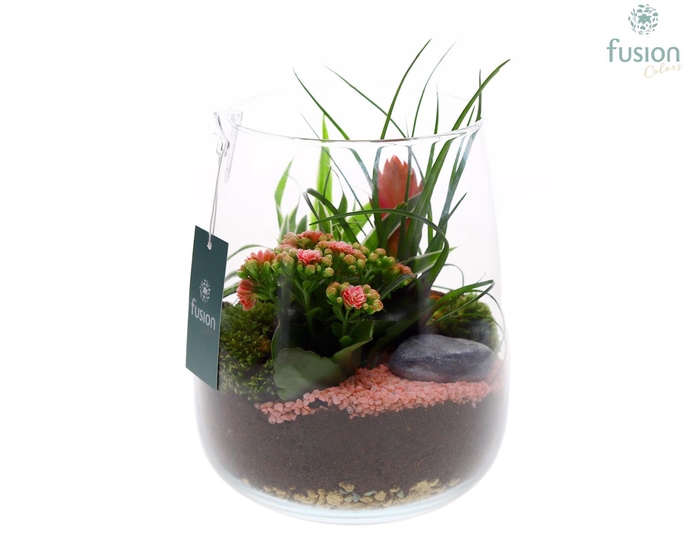 <h4>Glazen vaas Alzada D19</h4>