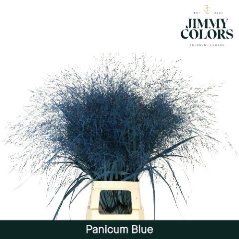 <h4>Panicum L90 Blue</h4>
