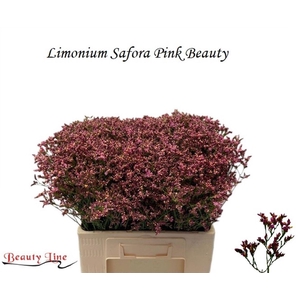 LIM SIN SEN PIN BEAU