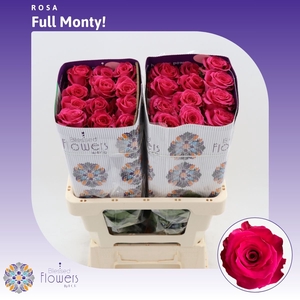 Rosa gr Full Monty!