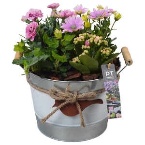 PTPP6907 Arrangement Patio in metalen schaal