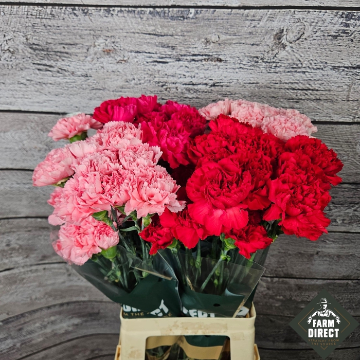 DI ST GEMENGD PASTEL IN FUST