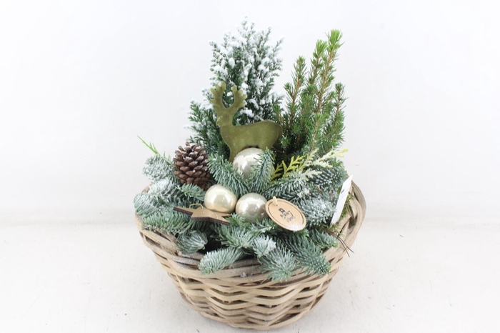 <h4>arr5 Kerst PL - Mand picea XL</h4>
