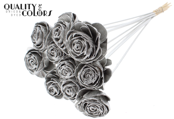 Shola Beauty Rose 6cm on stem Platina
