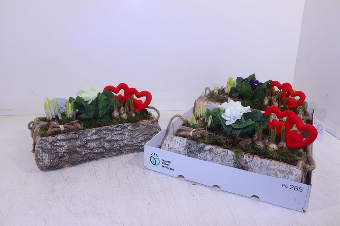 <h4>ARR TUINPLANTEN</h4>