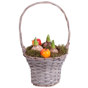 Bulbs Winter Arr. Hyacint Willow HandleBasket Grey ø18cm 3PP