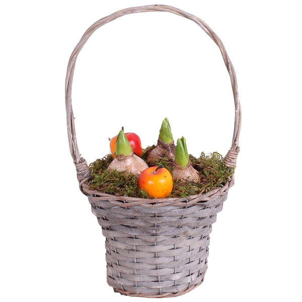 <h4>Bulbs Winter Arr. Hyacint Willow HandleBasket Grey ø18cm 3PP</h4>