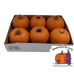 <h4>CUC HALLOWEEN</h4>