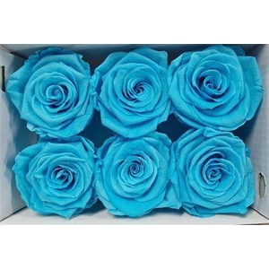 Ro Pres Classic Cyan